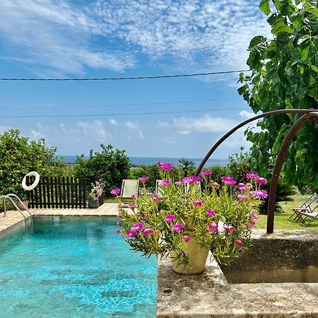 阿沃拉Authentic Sicilian Charm, Pool, Sea View, Wi-Fi & Parking别墅 外观 照片