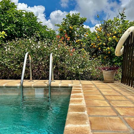 阿沃拉Authentic Sicilian Charm, Pool, Sea View, Wi-Fi & Parking别墅 外观 照片