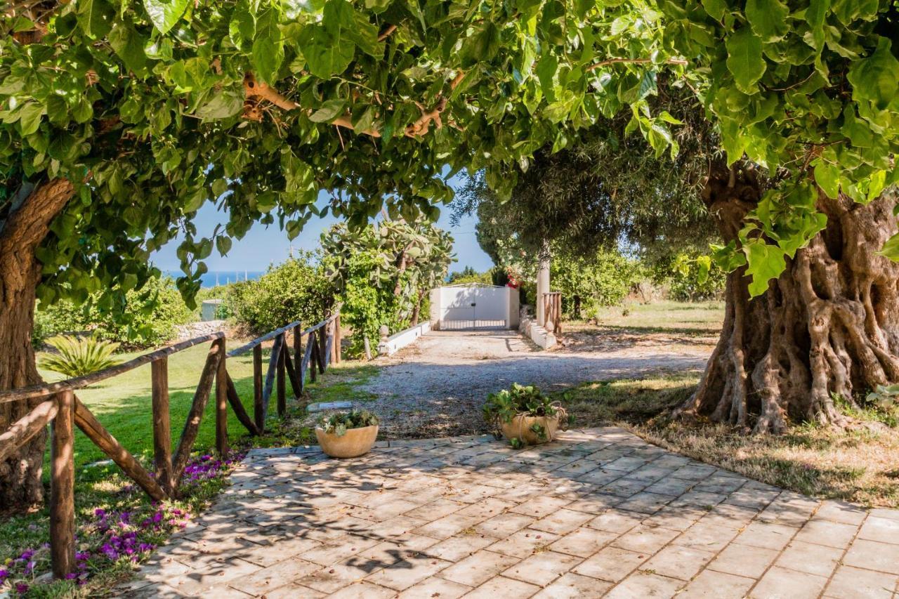 阿沃拉Authentic Sicilian Charm, Pool, Sea View, Wi-Fi & Parking别墅 外观 照片
